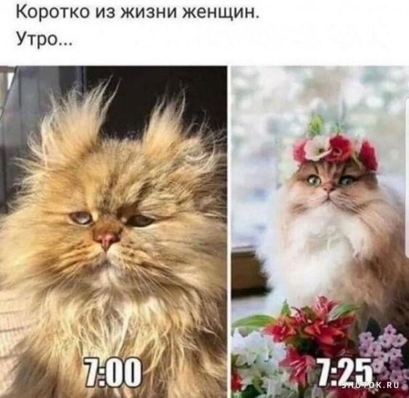 Добрый вечер, Стрельна!