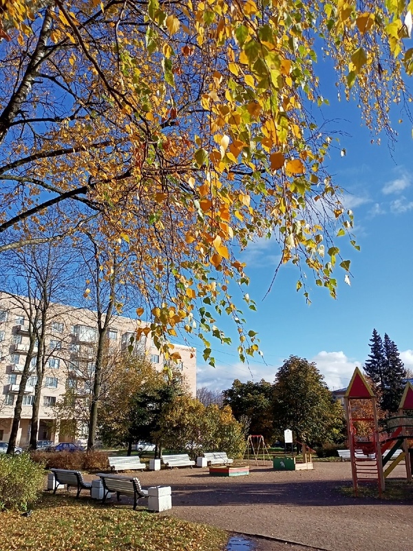 Доброе утро, Стрельна!