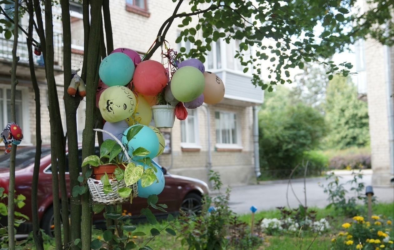 Добрый вечер, Стрельна!