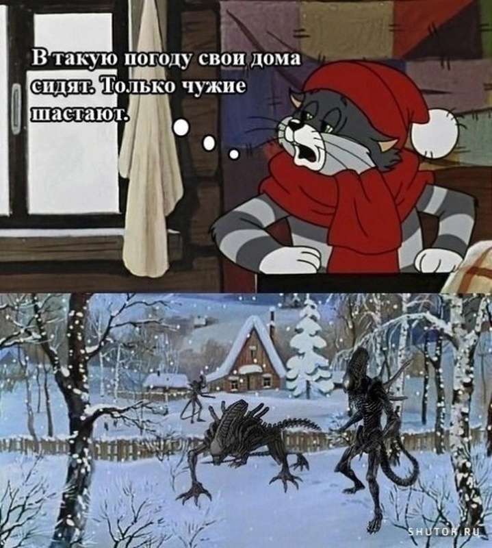 Добрый вечер, Стрельна!