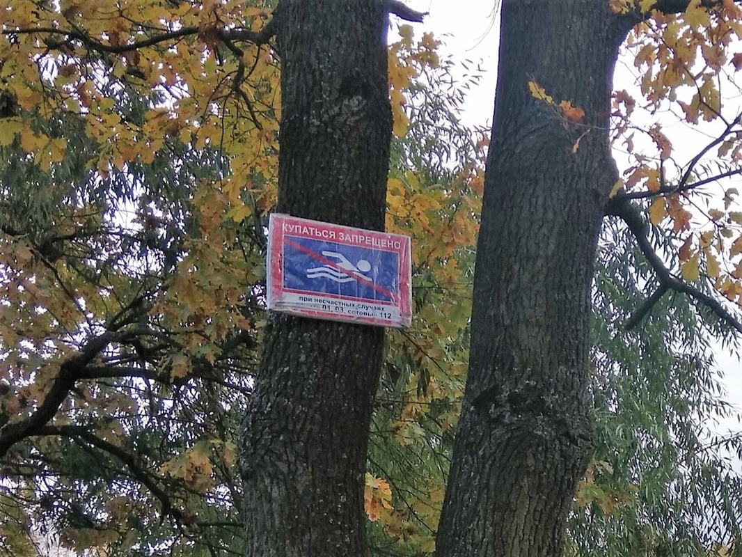 Доброе утро, Стрельна!