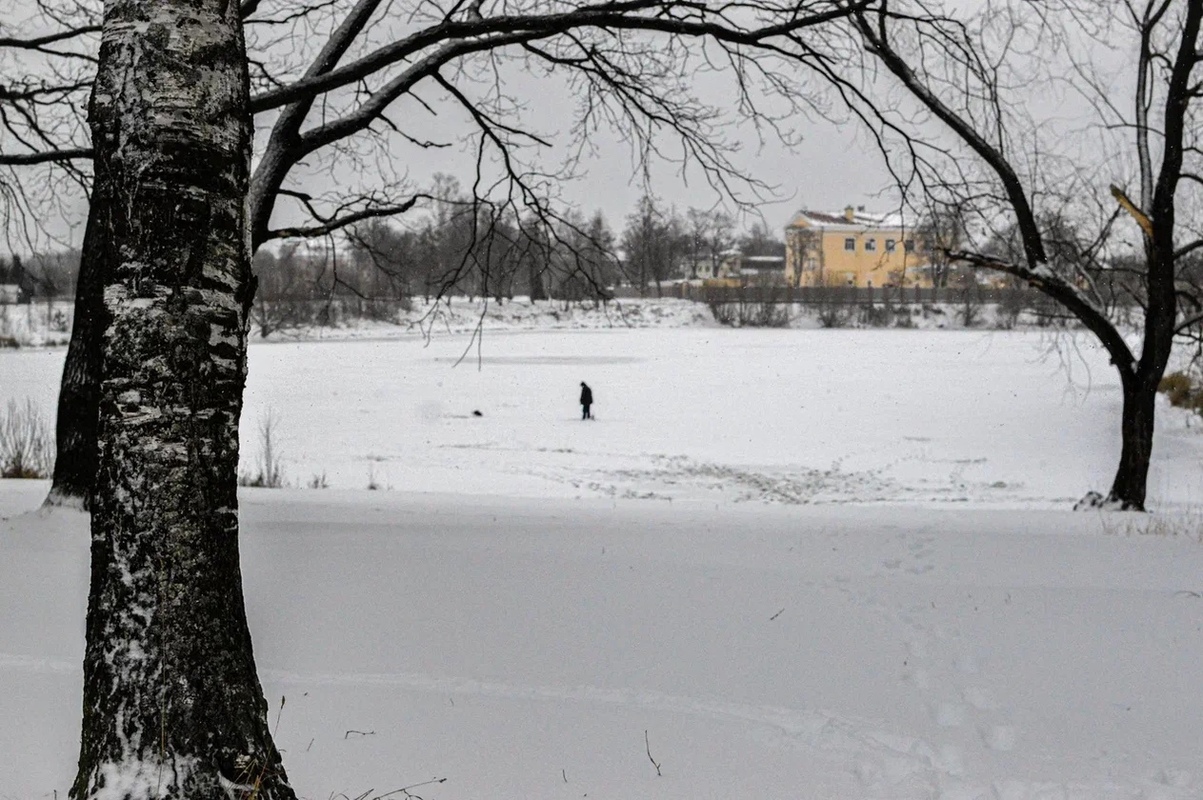 Доброе утро, Стрельна!