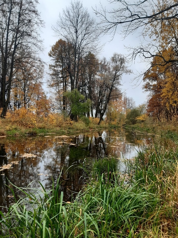 Доброе утро, Стрельна!