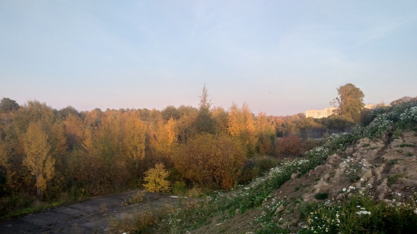 Доброе утро, Стрельна!