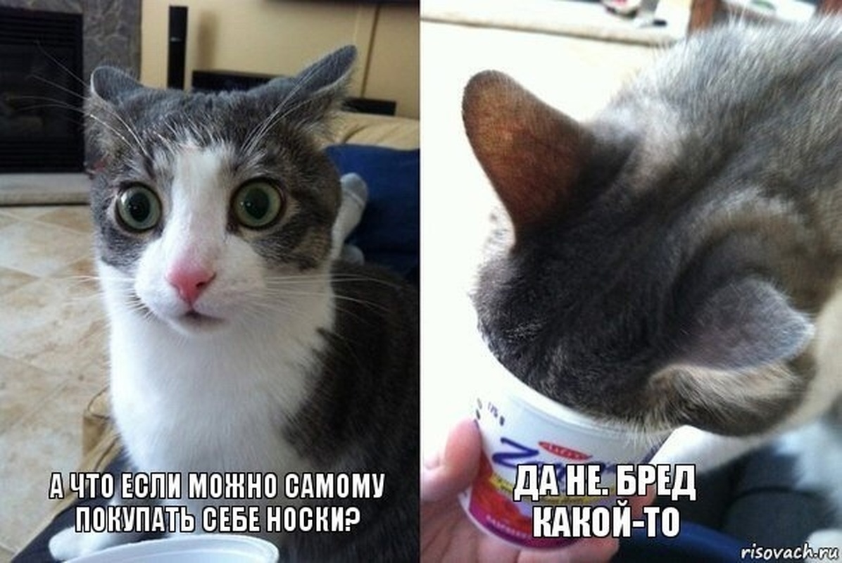 Добрый вечер, Стрельна!