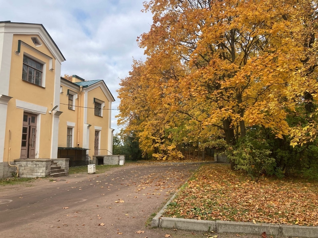 Доброе утро, Стрельна!