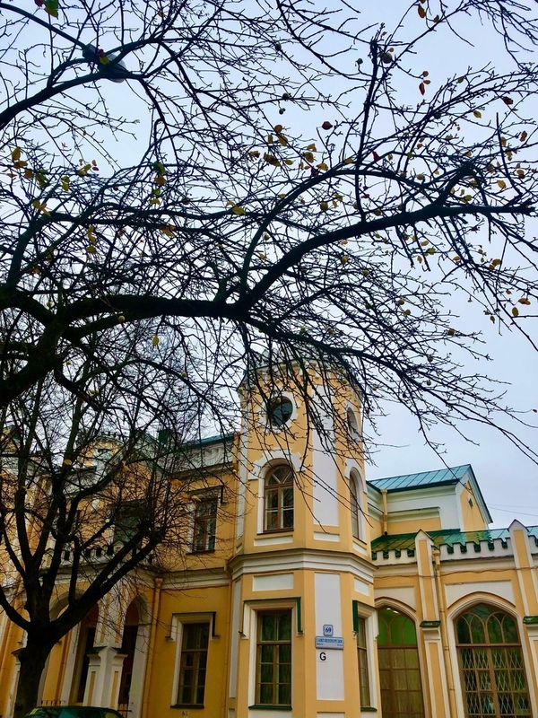 Доброе утро, Стрельна!
