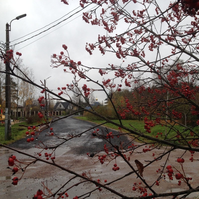 Доброе утро, Стрельна!